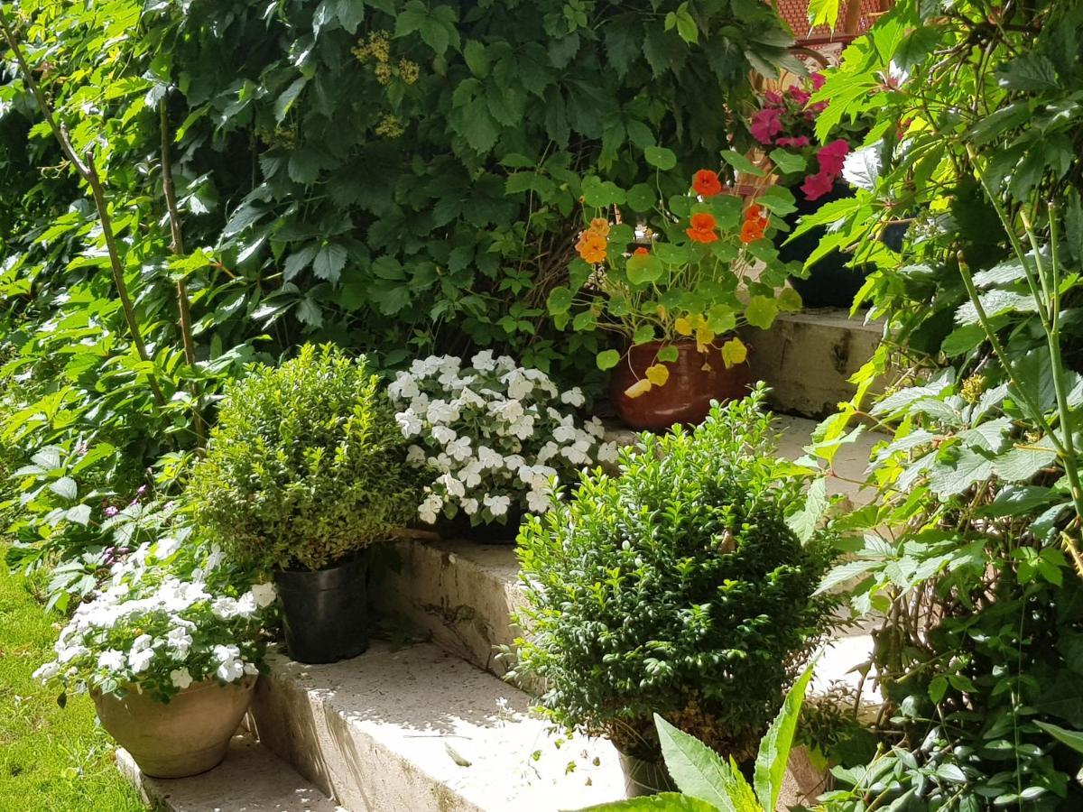 Bed and Breakfast Les Tournesols Mallemort Esterno foto