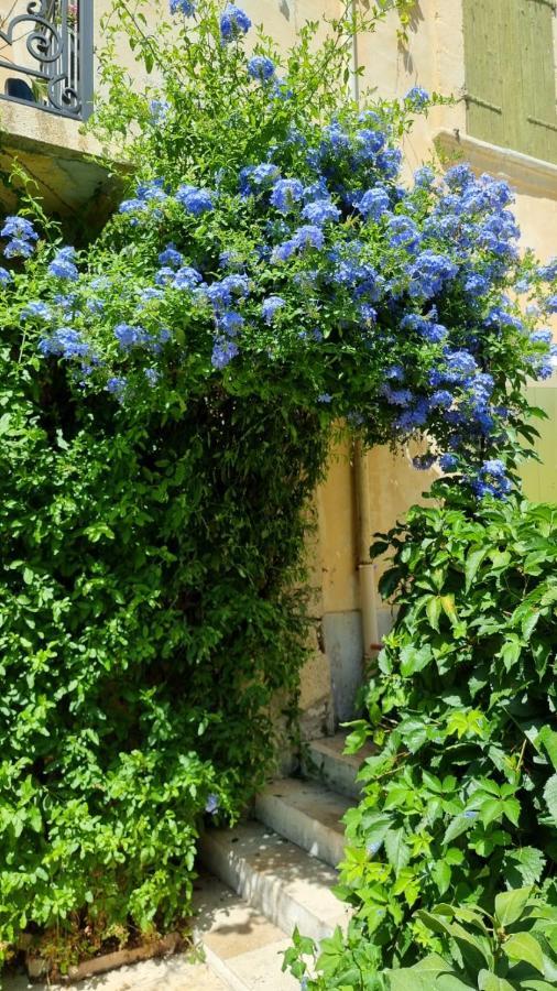 Bed and Breakfast Les Tournesols Mallemort Esterno foto